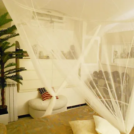 招待所 In Private Basement In Shared *